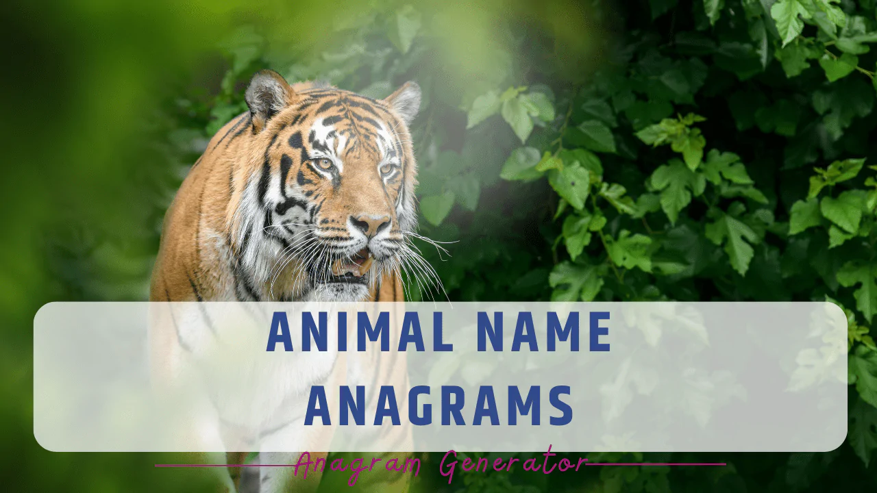 Tiger with the anagram generator text