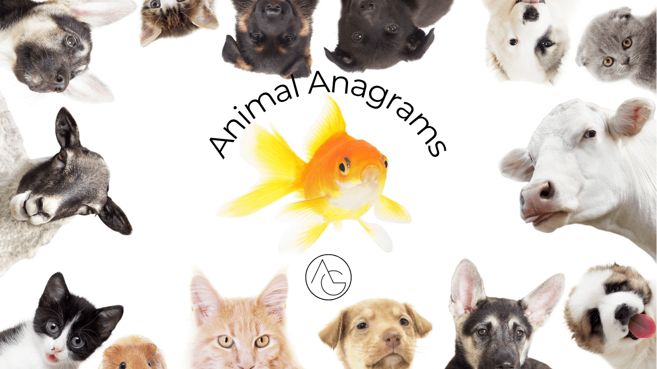 Frame of Various Mammals Surrounding a Goldfish with Anagram Text, Representing Animal Anagrams.